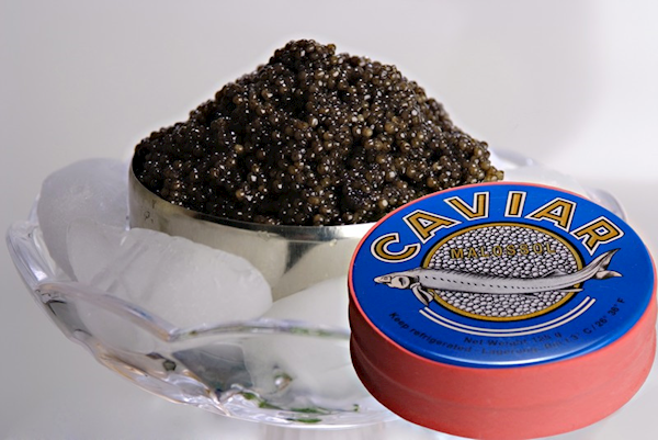 Kaluga Black Caviar (Metal Tin/Glass Jar)
