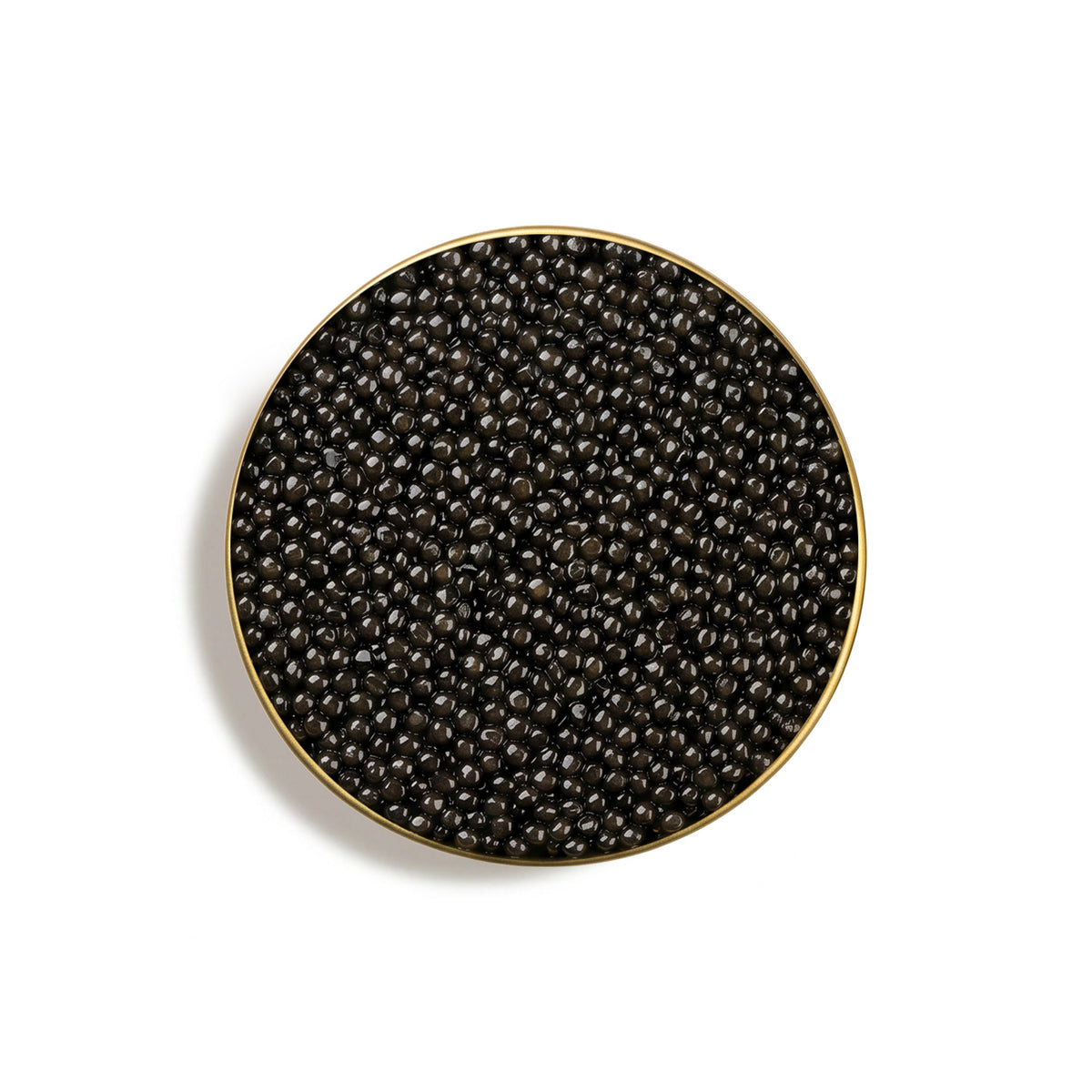 Caspian Beluga Hybrid Caviar Pearls Close-Up Featuring Large Glossy Black Roe with Luxurious Texture and Refined Appearance