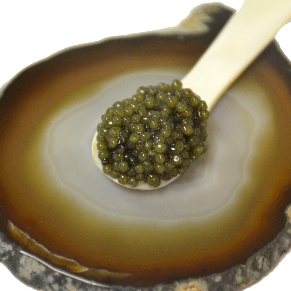 Paddlefish Black Caviar Gift Set