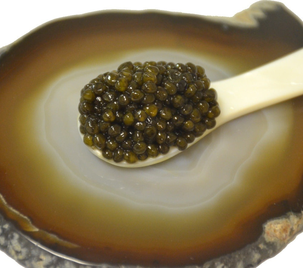 White Sturgeon Black Caviar Gift Set